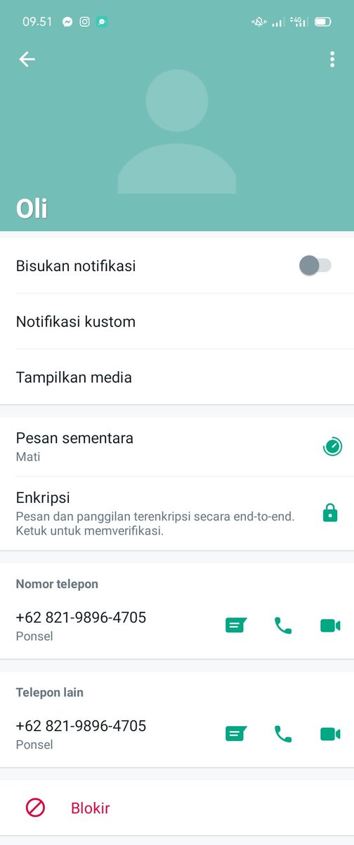 Juli Pace gunung tweet media