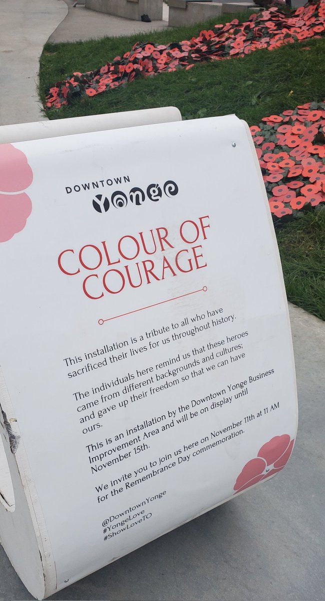 kristynwongtam's tweet photo. There's a beautiful installation at College Park commissioned by @DowntownYonge to commemorate #RemembranceDay2021. It will be there until Nov 15th, so please drop by. Take a moment to reflect and remember.
#YongeLove
#RestoreTheCore https://t.co/4vOse7S0Cv