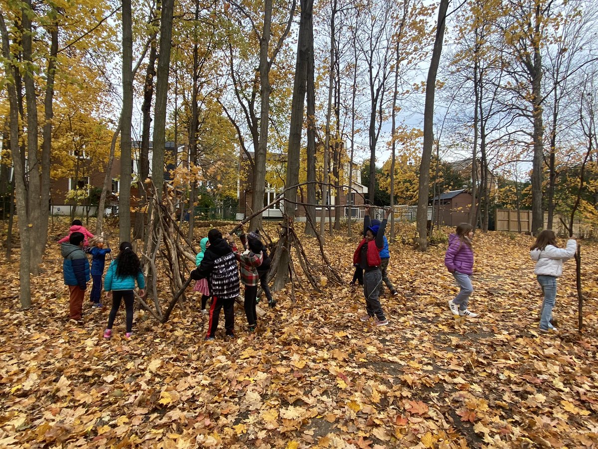 ret1974's tweet photo. Building structures #outdoors today for #PE in the @MasseyStreet_PS #forest #workingasateam #muscularstrength #FUN @PeelSchools @hpe4pdsb https://t.co/AyCXPGJjel