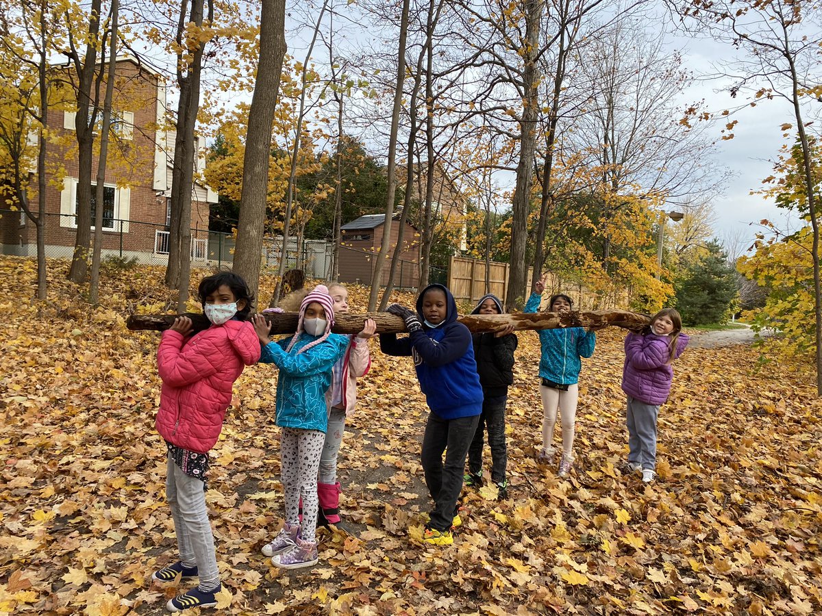 ret1974's tweet photo. Building structures #outdoors today for #PE in the @MasseyStreet_PS #forest #workingasateam #muscularstrength #FUN @PeelSchools @hpe4pdsb https://t.co/AyCXPGJjel