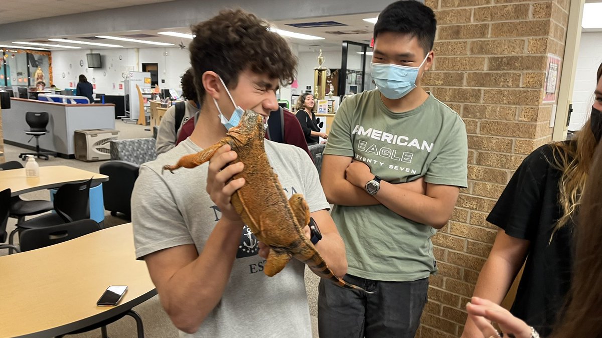 CHS Science NHS tweet media