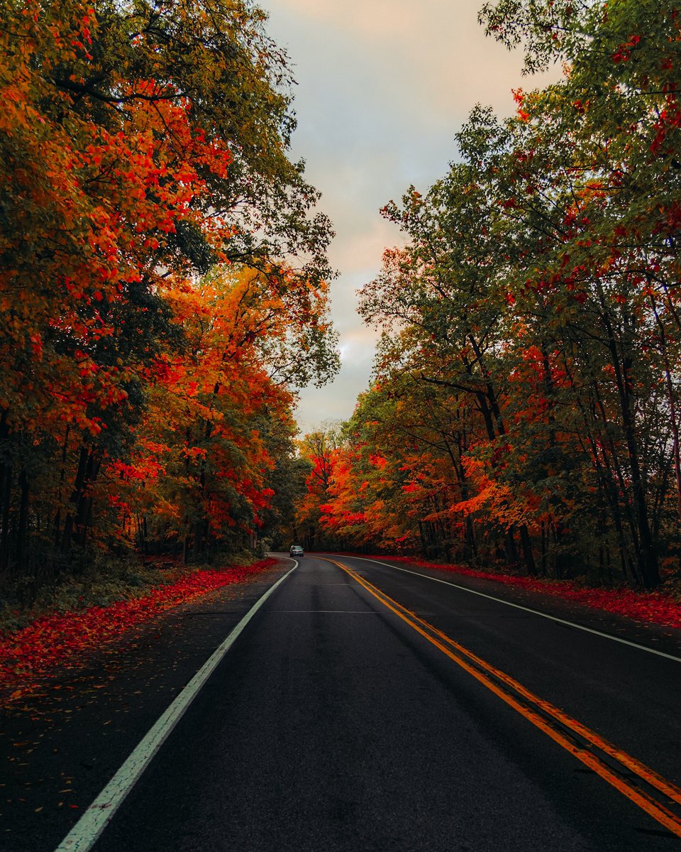 premium_colors's tweet photo. Fall 🍂🍁
#fall2021 #michigan #canonr6 #fallcolors #hinesdrive https://t.co/gZiAY6h8hJ