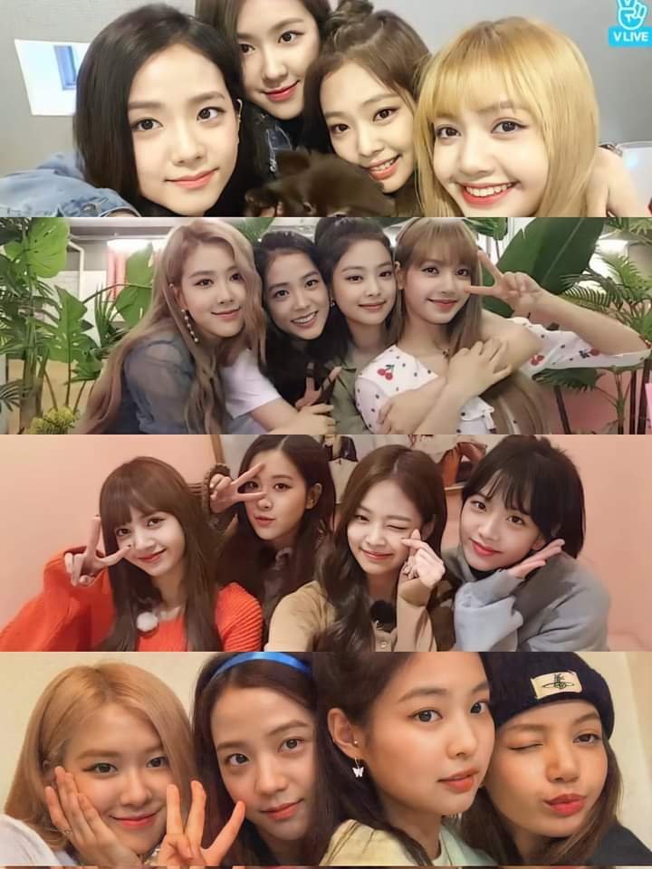 "..Sự tò mò của các thành viên đã tiếp thêm nguồn sức mạnh khiến mình làm việc chăm chỉ hơn.." - JISOO - 

ACTRESS JISOO 

#BLACKPINK #지수 <a href="/BLACKPINK/">BLACKPINKOFFICIAL</a>