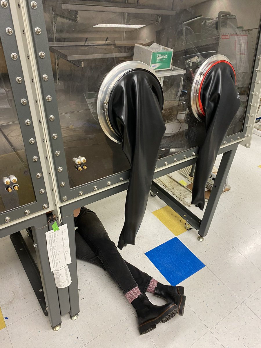 Yang Group (@yang_group) on Twitter photo Allie has been consumed by our deflated glovebox, and the glovebox has sprouted Allie legs… #movingday pc:<a href="/AndrewCypcar/">Andrew Cypcar</a> Allie has been consumed by our deflated glovebox, and the glovebox has sprouted Allie legs… #movingday pc:<a href="/AndrewCypcar/">Andrew Cypcar</a>