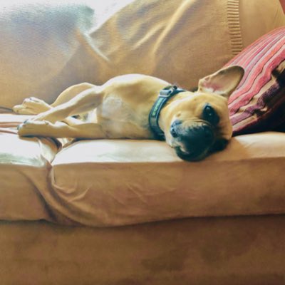 andrewjhatton's tweet photo. #NewProfilePic https://t.co/kWldqIByqL