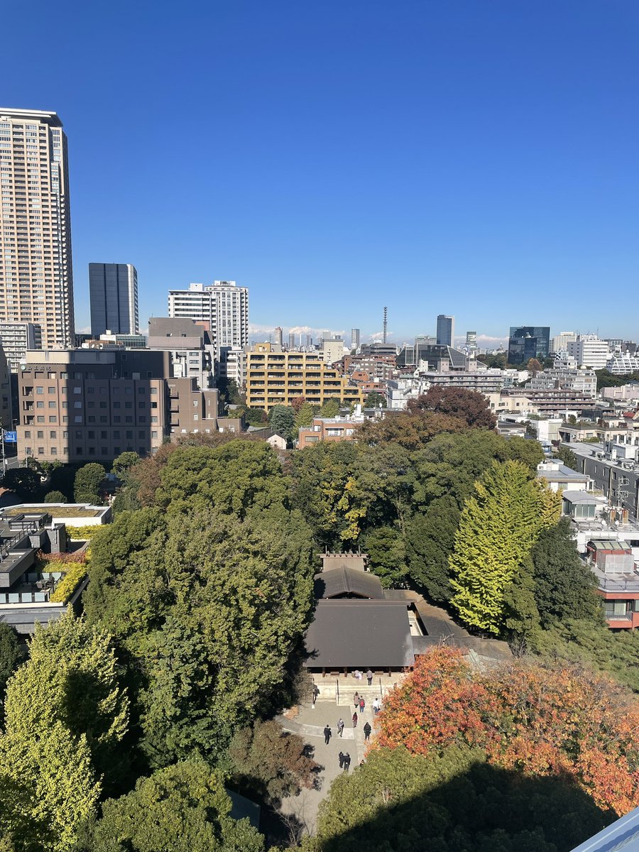 0827_hinako's tweet photo. 晴天！
乃木神社も紅葉が進んでおります〜🍁
#チルスポット 
#ここはシェアオフィスの屋上 
@plusShiftOffice https://t.co/Lpmwzmw2c4