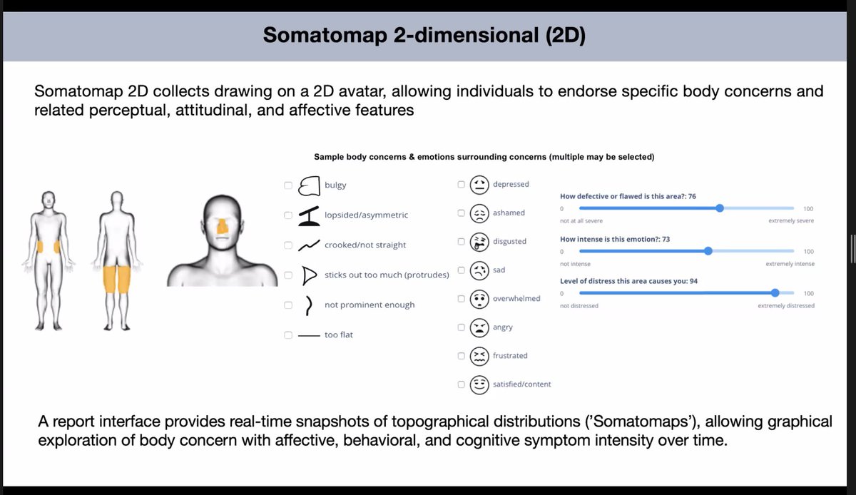 fairysatellite's tweet photo. Fascinating to hear @CRalphNearman on
developing & utilizing #Somatomap with individuals w AN. Greater discrepancy associated w greater ED severity in AN. Would love to see this adapted for transgender & non-binary groups to include gender dysmorphia & euphoria
@BiRDEvents_ https://t.co/5J4Dl0lqHO