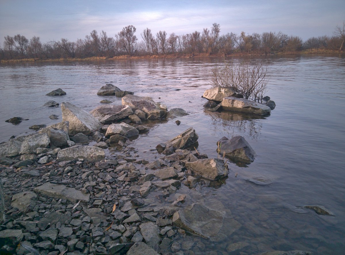 dos1's tweet image. #shotonlibrem5 #librem5