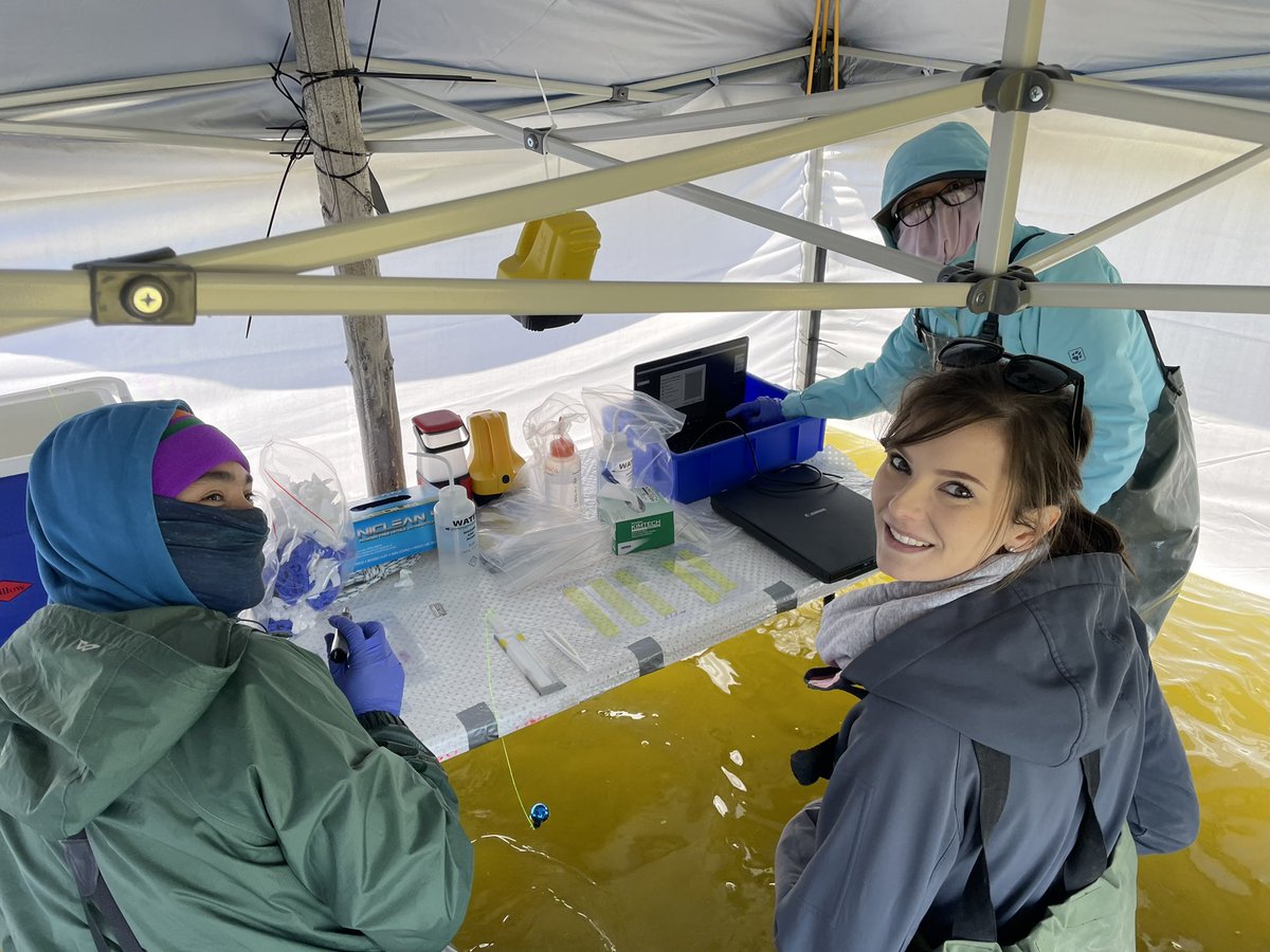 Luke Mosley tweet media