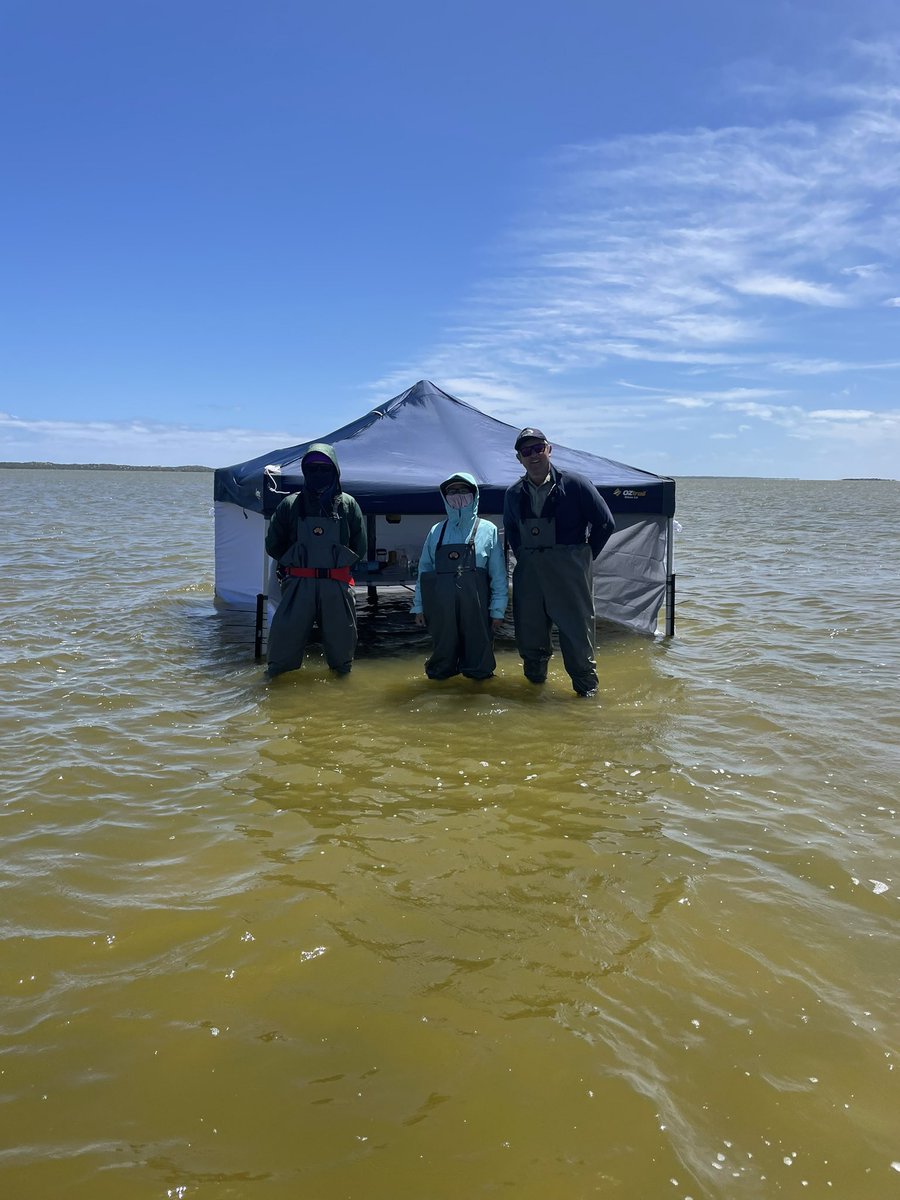 Luke Mosley tweet media