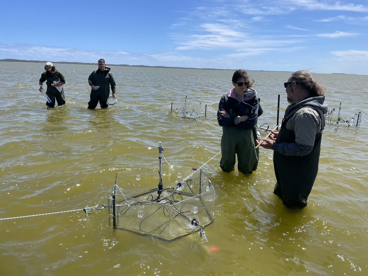 Luke Mosley tweet media