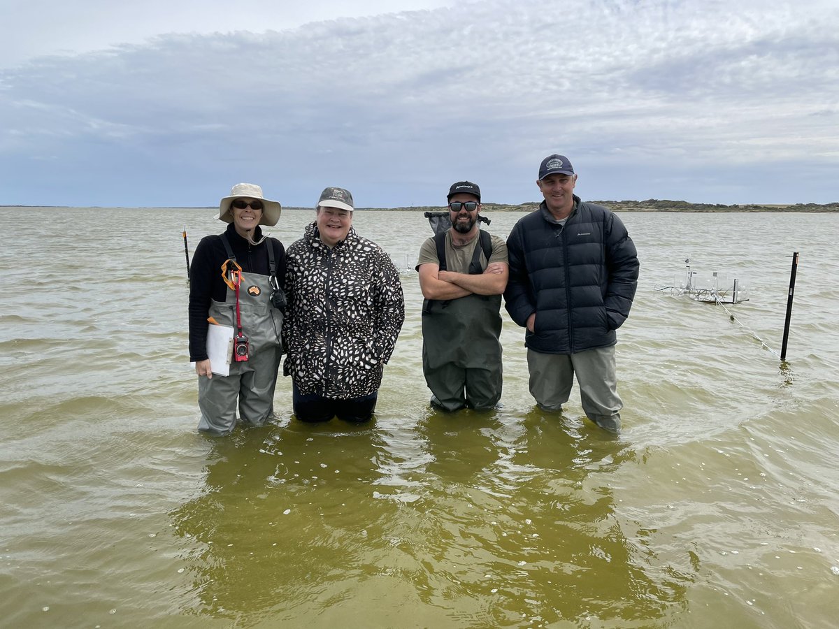 Luke Mosley tweet media