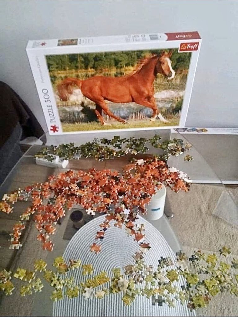 first time completing a puzzle this shit is easy