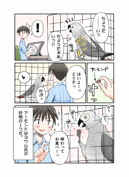 鳥漫画 を含むマンガ一覧  ツイコミ(仮)