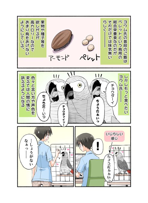 鳥漫画のTwitterイラスト検索結果。