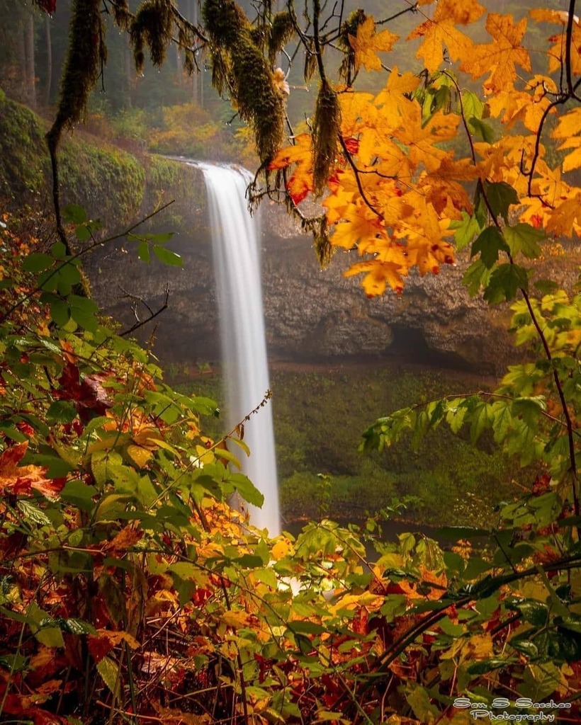 Oregonexplored tweet media