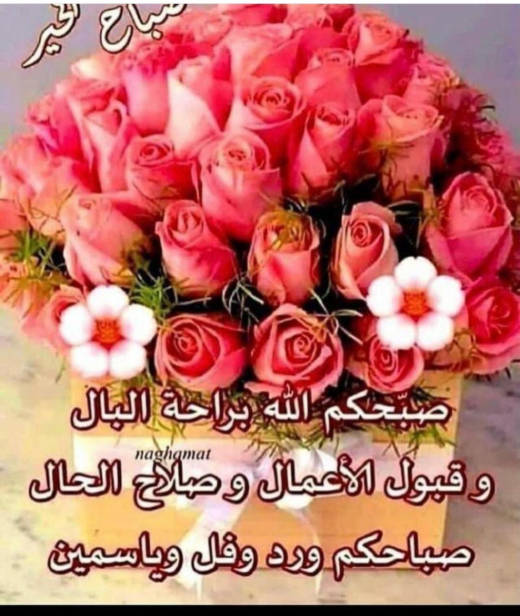 @dr_sairakhan @Arohi____ @CutiePie5493896 @momina2223 @AleeyaAlee1 @M__M786 @PTI_Queen_ @Anaya_ch0 @madam_robena @Sb__0987 وعليك السلام ورحمة الله وبركاته