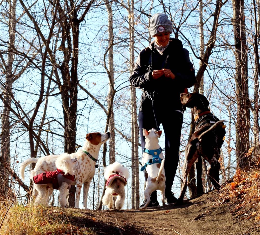UnleashedExplo1's tweet photo. Love my lil pack β€ #unleashedexplorers #dogpack #yeg #ravine #nature https://t.co/C5qy8jYI0R