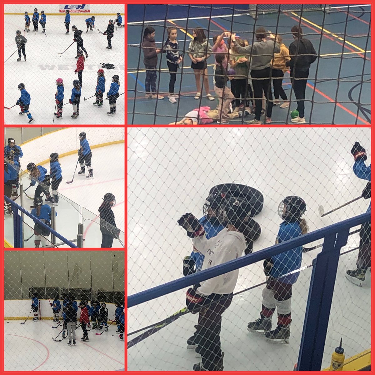 LloydSteelers's tweet photo. Busy week for the PWM Steelers as they helped mentor the U9, U11 &amp; U13 female camps.  A fun week spent doing what they all love. Thanks to all the players for letting us join you for a great week. 

#community #femalehockey #hockeylife #mentors #futurestars

@Lloyd_EliteHD https://t.co/AruXgrYdAG