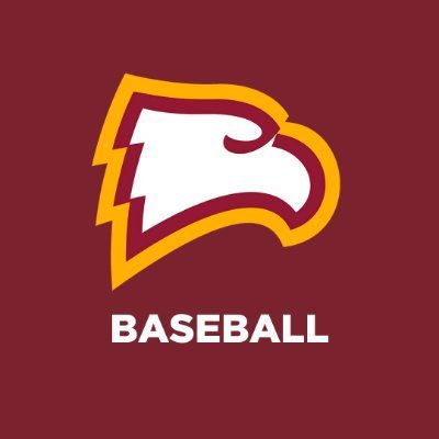 Officially an Eagle! 🦅 #NLI @WinthropBasebal @TomRiginos @hill2austin @dreherathletics @DreherBaseball @RawlingsStarsBB