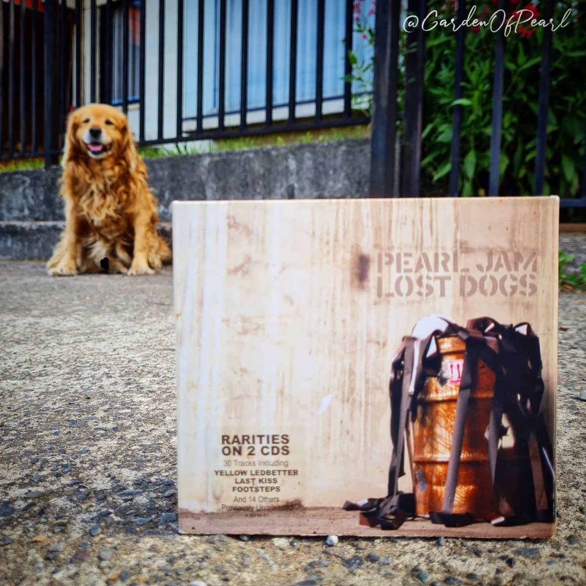 JeffAmentsArmy's tweet photo. #Repost @gardenofpearl
・・・
@pearljam #lostdogs 🐕 Aniversario!
📷En la foto acompaña Brown, un amigo que hace algunos años fue adoptado por los vecinos de la cuadra. Siempre está ahí, como lo ven💜. 
#pearljam #undíacomohoy #pearljamfan #pjlovers🖤 #rock #pj #lostdogsweek https://t.co/YeTrBUfNat