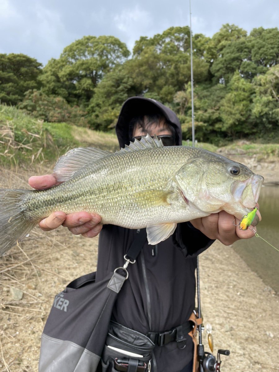 SHOW25413442's tweet photo. バイトの瞬間、ドドーンてイメージのひったくりバイトだったから、
今日の僕の口癖はずっと「ドドーン」て言ってしまう。 https://t.co/tQlmabBeqt