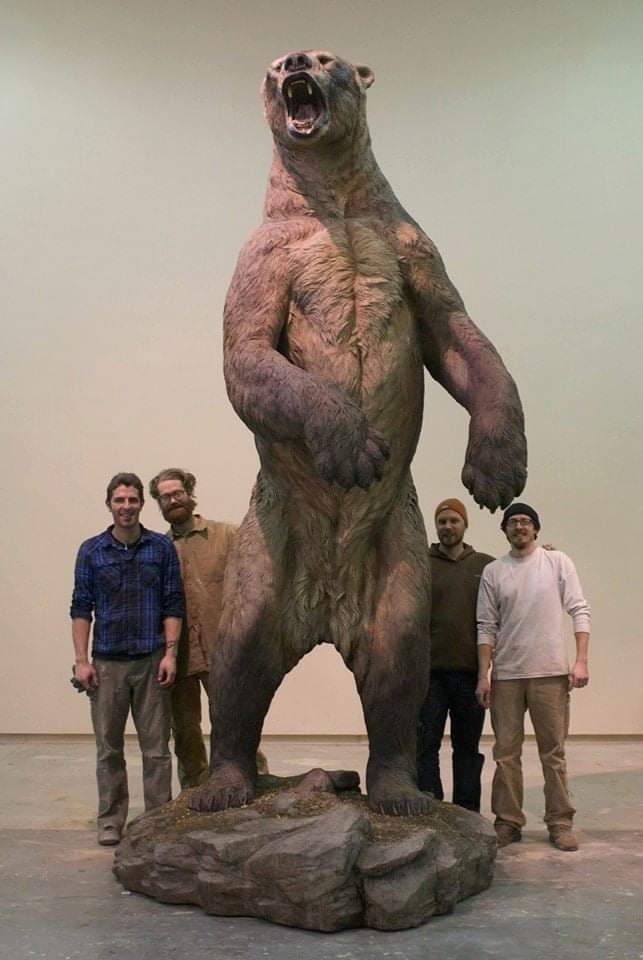 Reproduction sculpture of a Giant Short Faced Bear that occupied much of North America until about 11,000 years ago. They could stand 12 ft. tall.

© Bill Dimmitt 

#archaeohistories