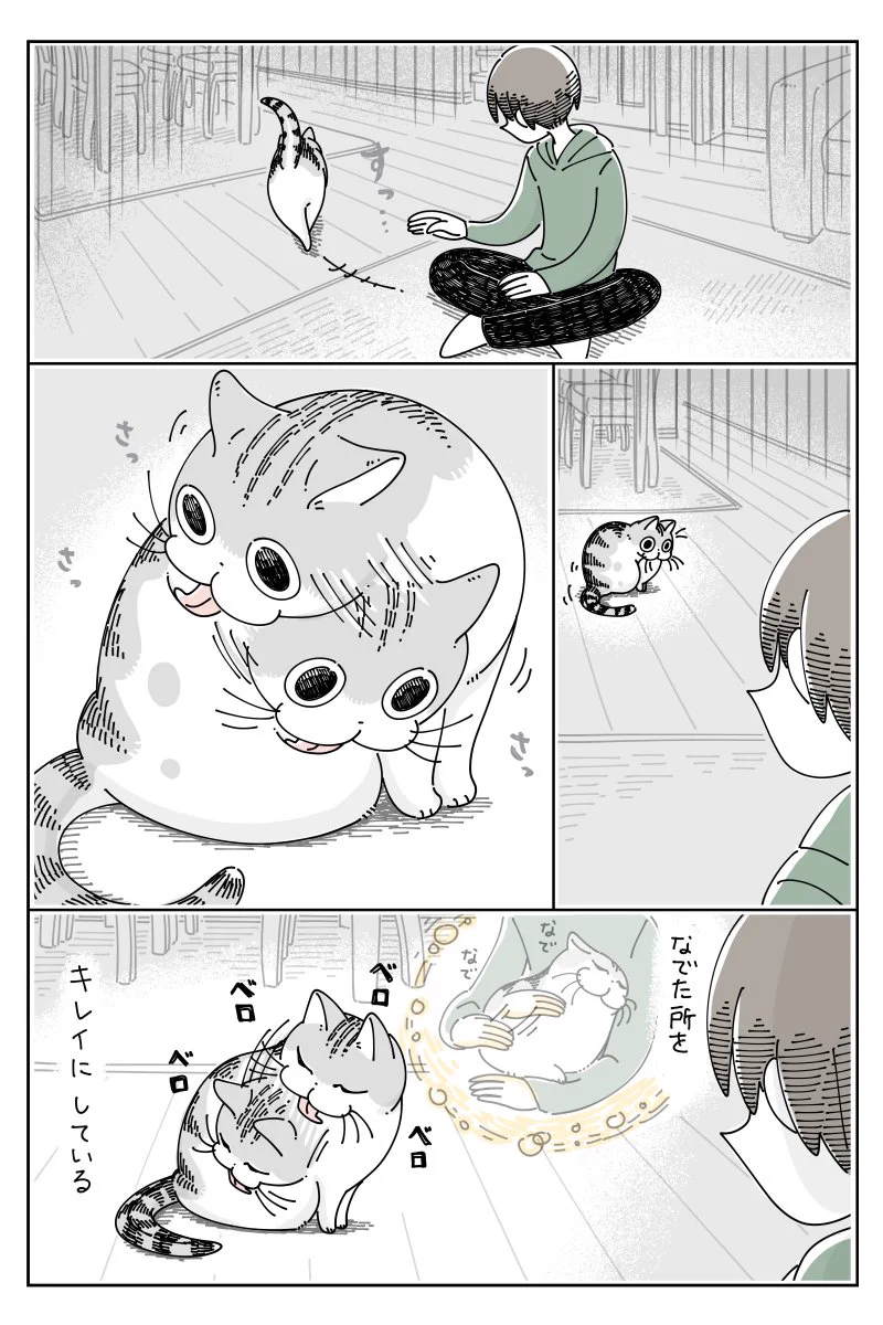 実はお互い様？撫でた箇所を綺麗にするかのような飼い猫の行動に少し切なさを覚えるも･･･！