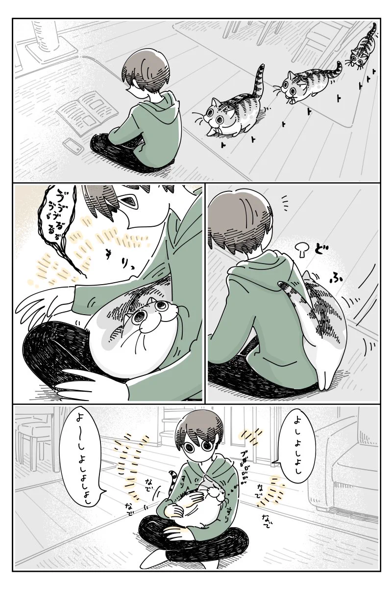 実はお互い様？撫でた箇所を綺麗にするかのような飼い猫の行動に少し切なさを覚えるも･･･！
