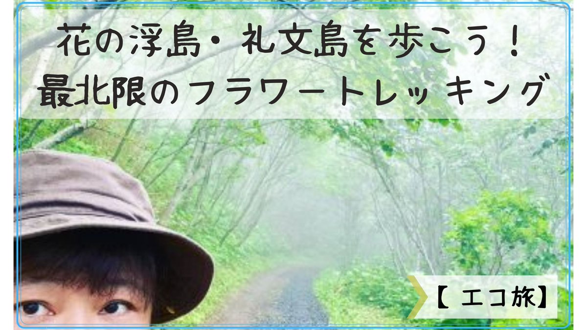 tri_pler's tweet image. 非日常を体験しまくる集団「TRIPLER」による非日常体感メディア。
【エコ旅】花の浮島・礼文島を歩こう！最北限のフラワートレッキング on TRIPLER（トリップラー）非日常の体験をあなたへ - tripler.asia/rebun_flower_t…