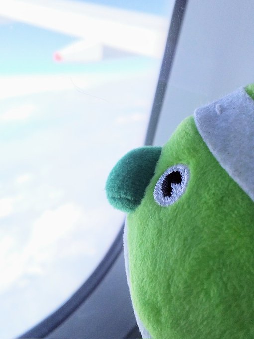 めじろんのtwitterイラスト検索結果