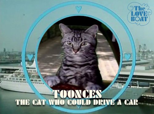 Toonces takes over for Captain Stubing #UnlikelyLoveBoatStorylines.