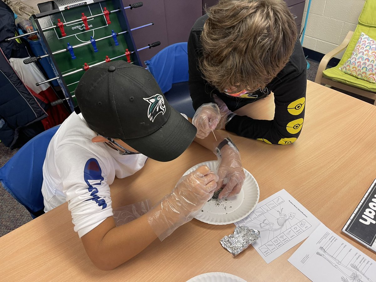 Owl pellet day is a fan favorite in third grade 💚🤍 #thirdgrade #owlpellets #science @NoviVillageOaks