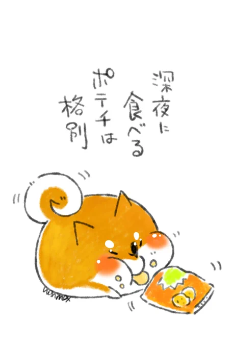 #わんにゃんの日 