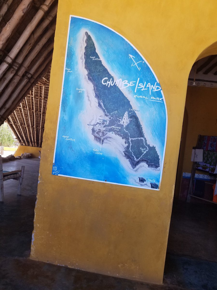 mamcurie's tweet photo. #Ecotourism is being identified as the form of #sustainabledevelopment.Its reflection is seen to the #environment and #community.
#Chumbe Island has been recognized as #MarineProtectedArea since 1994.
@UNDPAccLabs @OMDTZ
#SUZAYouthMapper #TourismZanzibar #ecotourism #Coralreef https://t.co/FWv19JSzGj
