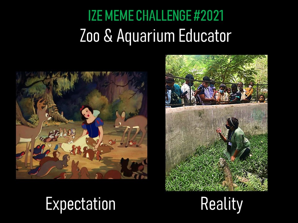 IZEducators tweet media