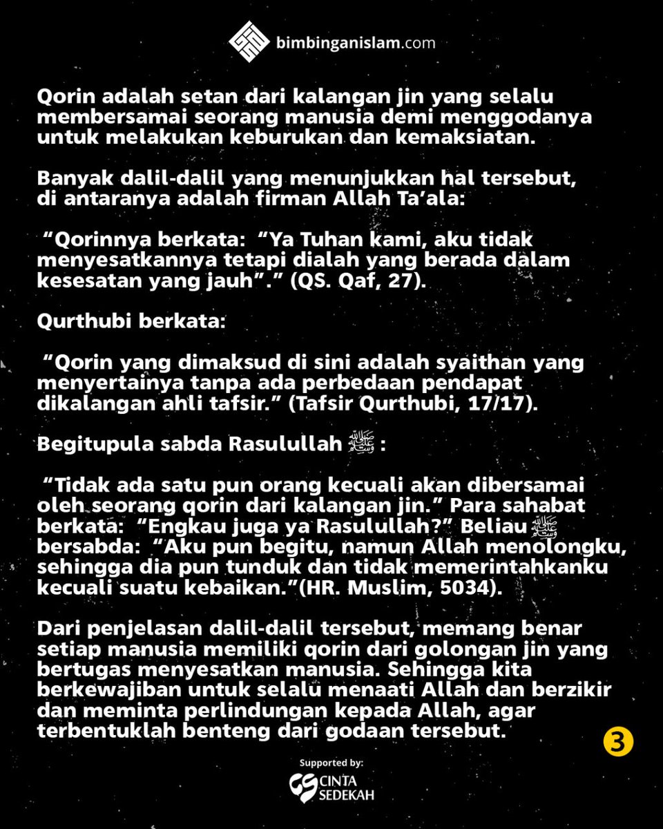 xcadr Yuliya Svejakova