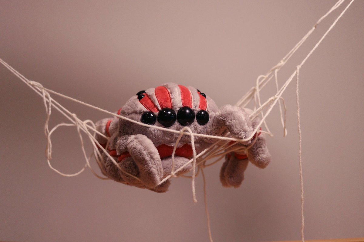 sbuggames's tweet photo. OMG it's your favourite little videogame spider now in cuddly plush form! 
\oOOo/
Plush design by the incredibly talented @KaylasKritterz 

🕸️Available to order soon!🕸️
🕸️More details to follow🕸️ https://t.co/THXlqb0bei