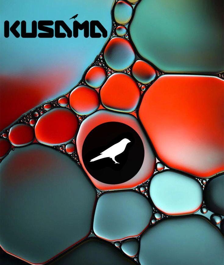 panaCRYPTOlife's tweet photo. #kusama going to be the veins of crypto sphere of the future #parachains #interoperablility https://t.co/wPz9hGYlnI