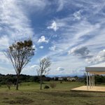 ツイートに含まれる画像