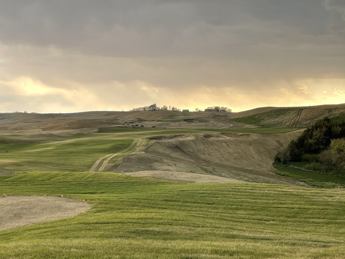 King Collins Dormer Golf tweet media
