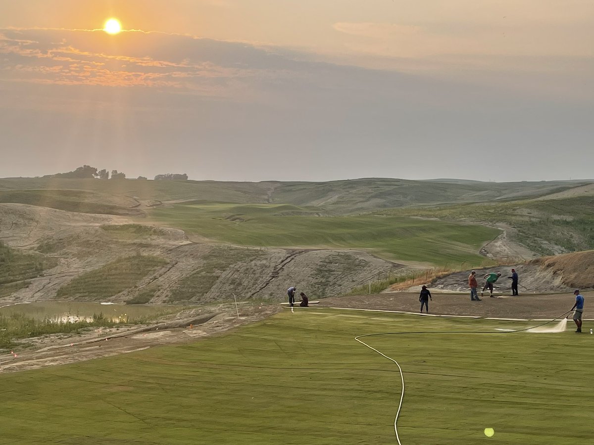 King Collins Dormer Golf tweet media