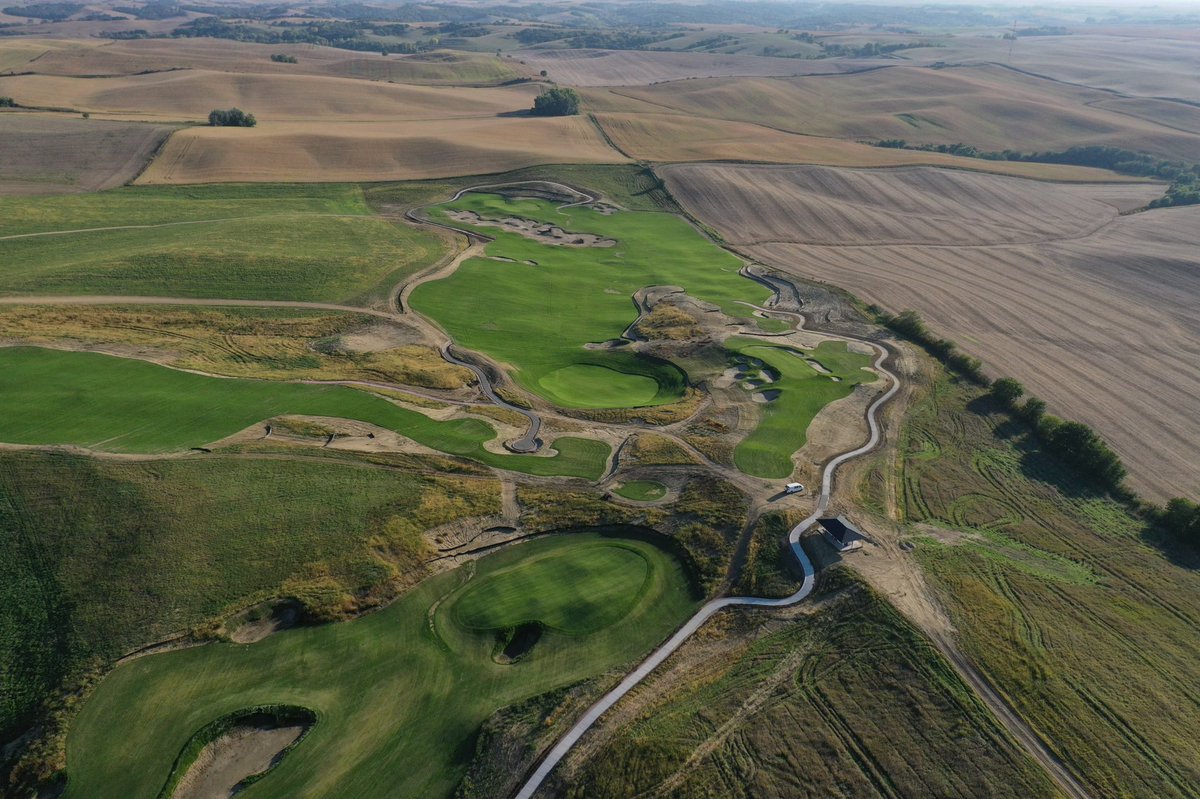 King Collins Dormer Golf tweet media