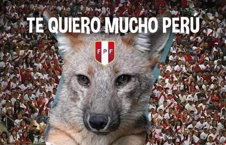 Gavaldivia's tweet photo. Definitivamente soy la cábala. No veo el partido y ganan. 🇵🇪
Ps. #FreeRunRun https://t.co/AOEB66NJCd