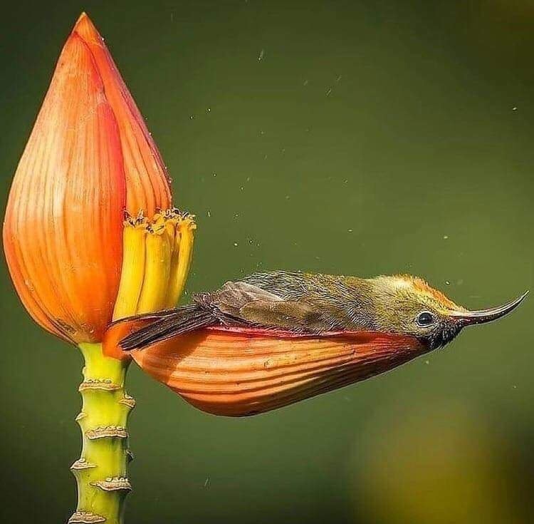 Доброе утро добрым людям!
Нескучной пятницы ✌️🙂