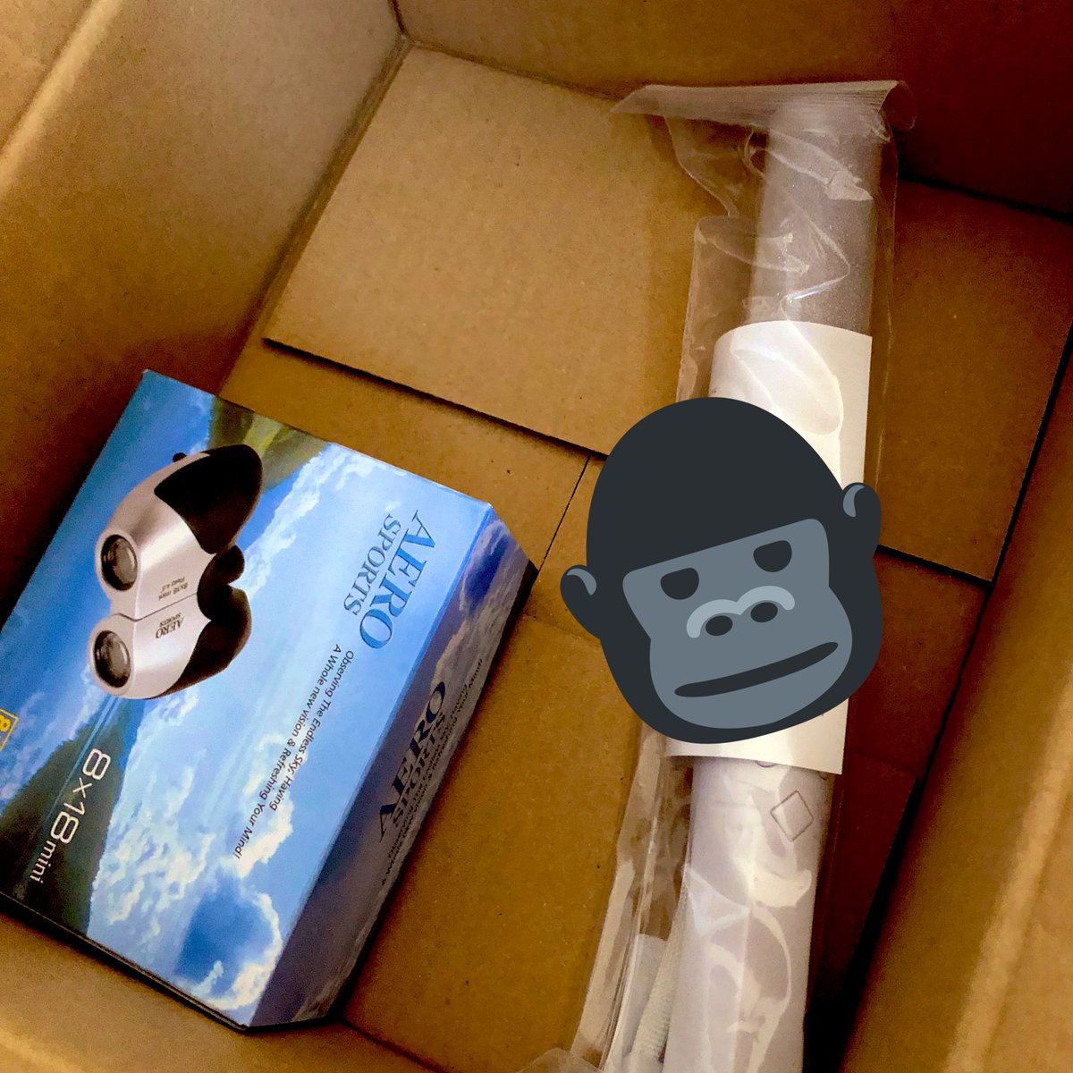 gc1_zca's tweet photo. ヲタクグッズ初めてセット
Amazonから届いた🥺🦍

ペンラと双眼鏡のセッティングがんばる！

#INI @official__INI Rocketeer / Brighter / Cardio / KILLING PART / RUNWAY(INI Ver.) | ONE(INI Ver) https://t.co/vSK6btQCZh