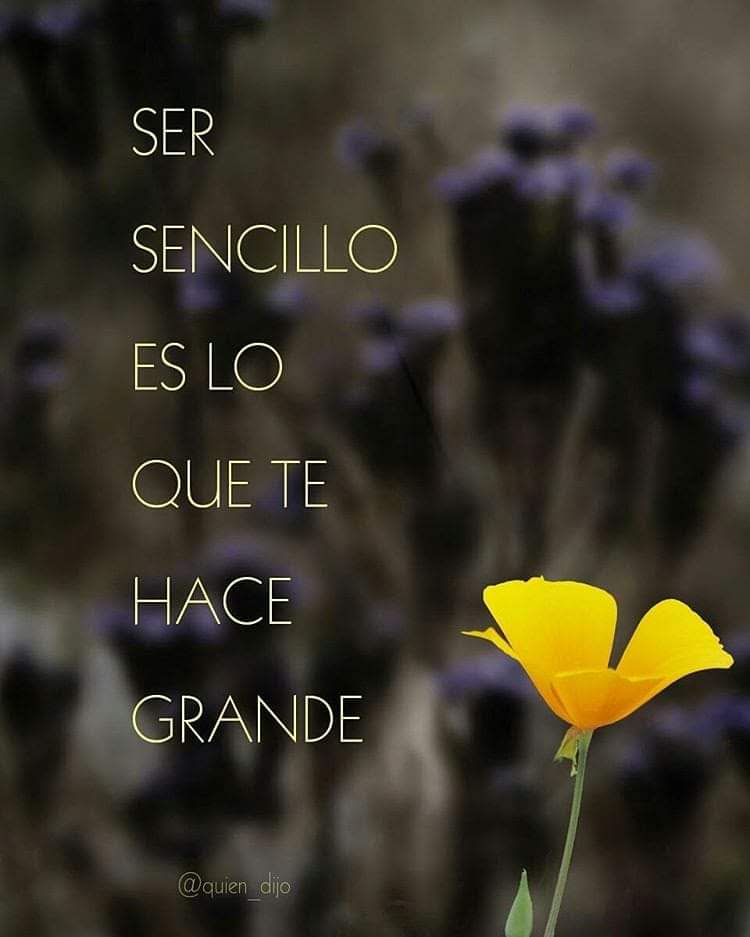 minescalcagno's tweet photo. #FelizViernesATodos ❤💙💕💜 https://t.co/Y8Jy1UtyQM