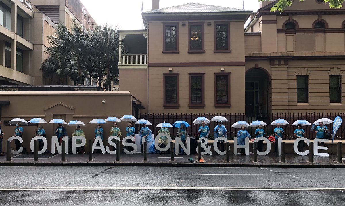 Shayne Higson tweet media