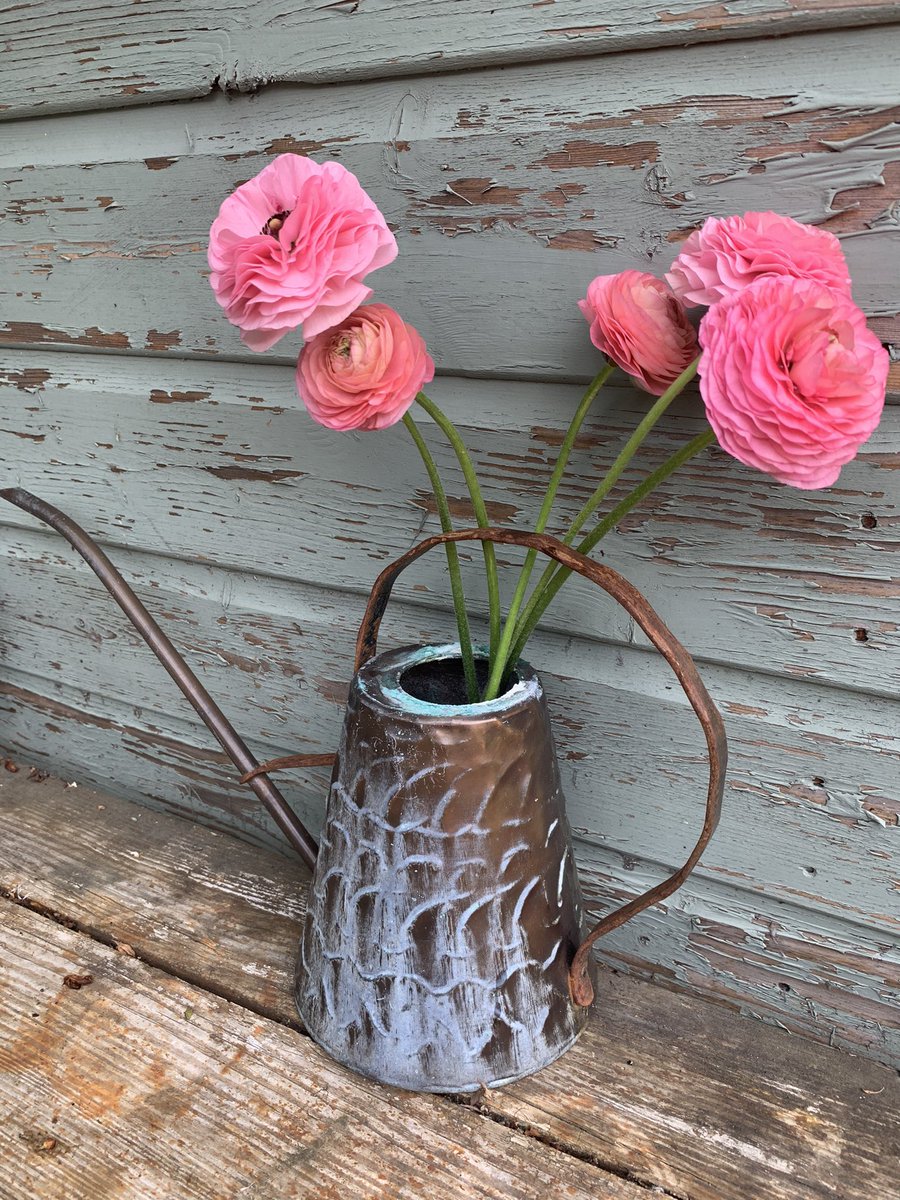 GardenBrocante's tweet photo. Good morning on this very wet and windy day! I’ve sown half of my ranunculus corms and waiting to sow the rest in January. Photo of a few from last April. Hope you have a lovely day… I’m clearing more leaves 😂🍂😂 https://t.co/5ndXnHhPSI