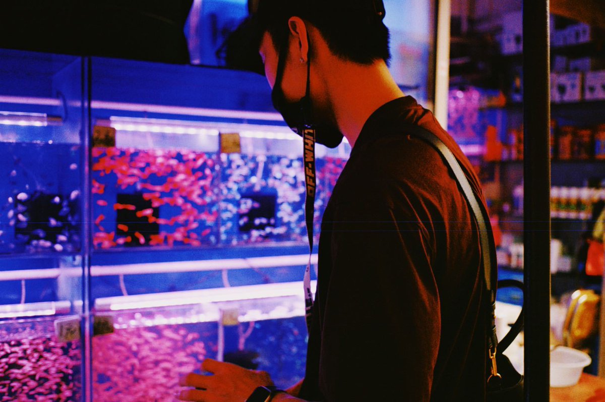 wzypics's tweet image. — 211031 WZY Studio Weibo Update 💙

#Howtospend #Halloween2021 

Treat or trick;
If giving sweets sweets 🍬then let me give a little bouquet of flowers 💐

(1/2)
⌜ #王子异 ⋆ #wangziyi ⌟
#NinePercent